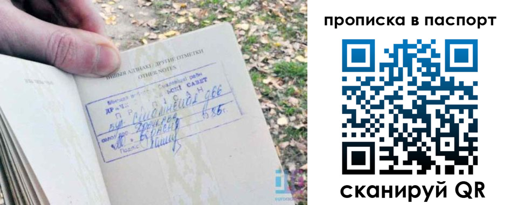 купить прописку в Большом Камне